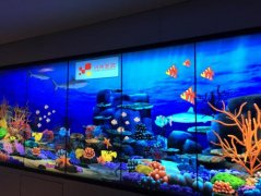 畫畫水族館是什么